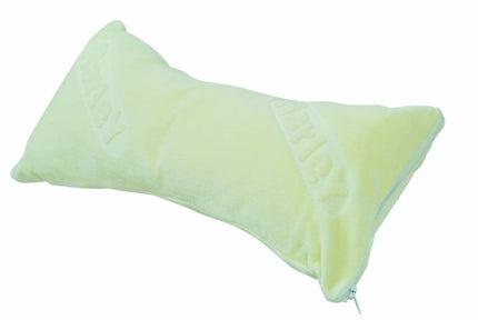 Harley Butterfly Pillow