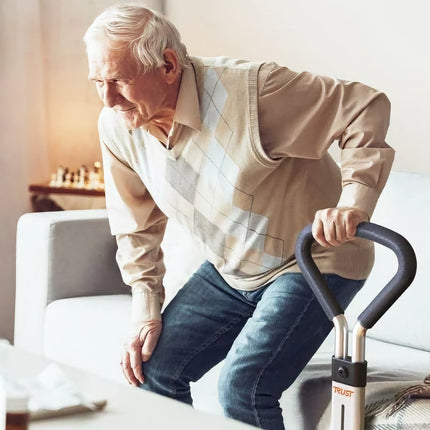 Lets Get Up Bed Rail